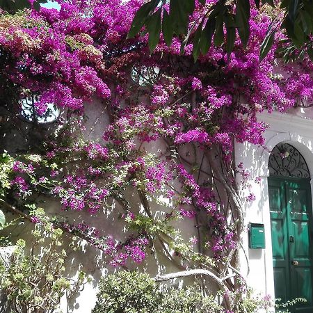Il Gelso Apartamento Anacapri  Exterior foto