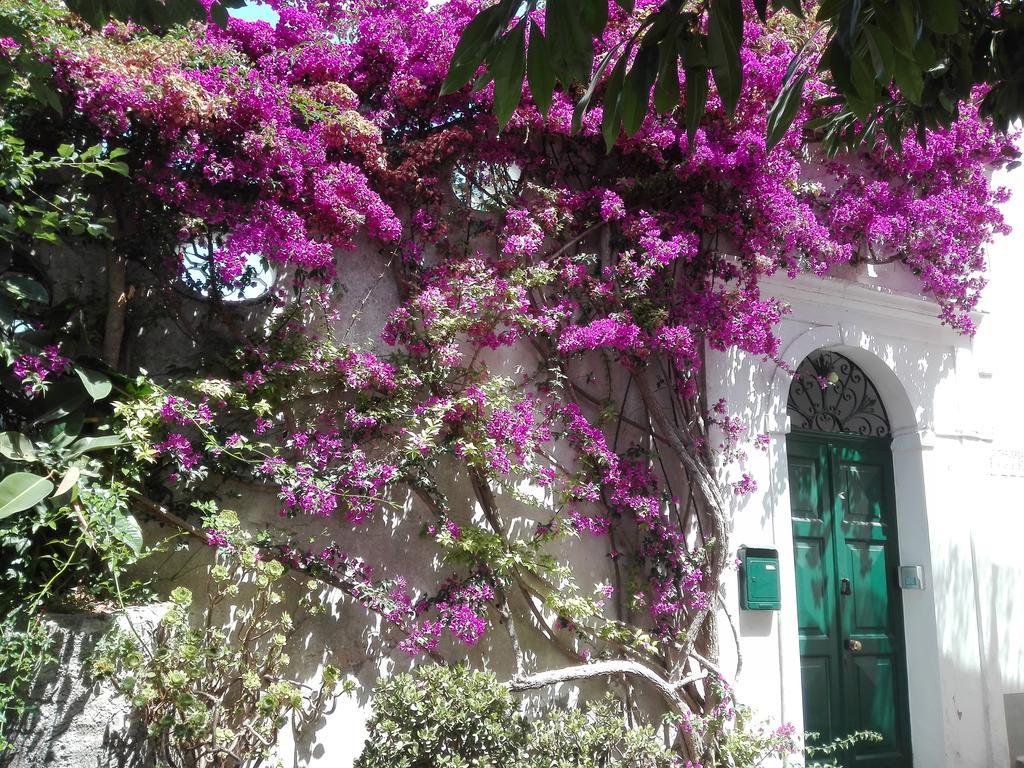 Il Gelso Apartamento Anacapri  Exterior foto
