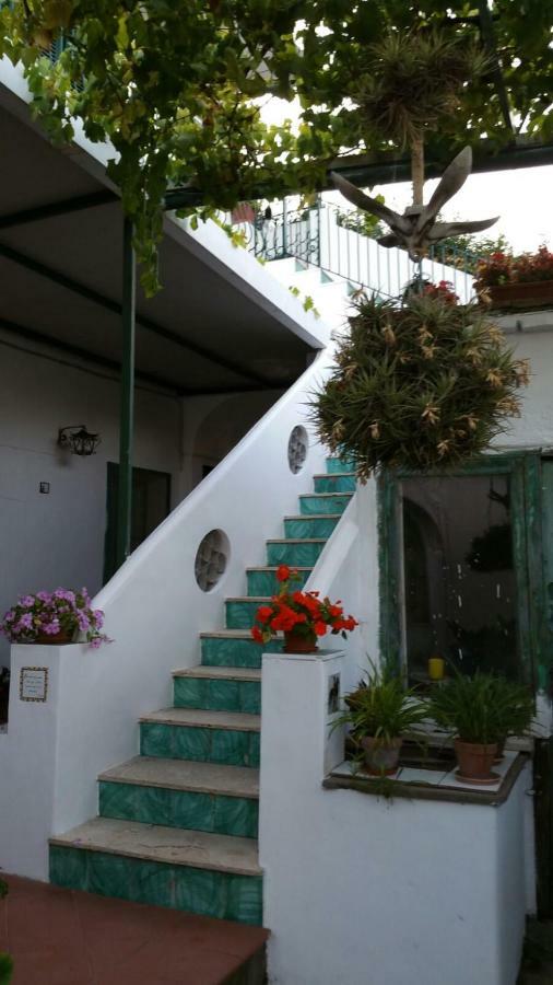 Il Gelso Apartamento Anacapri  Exterior foto