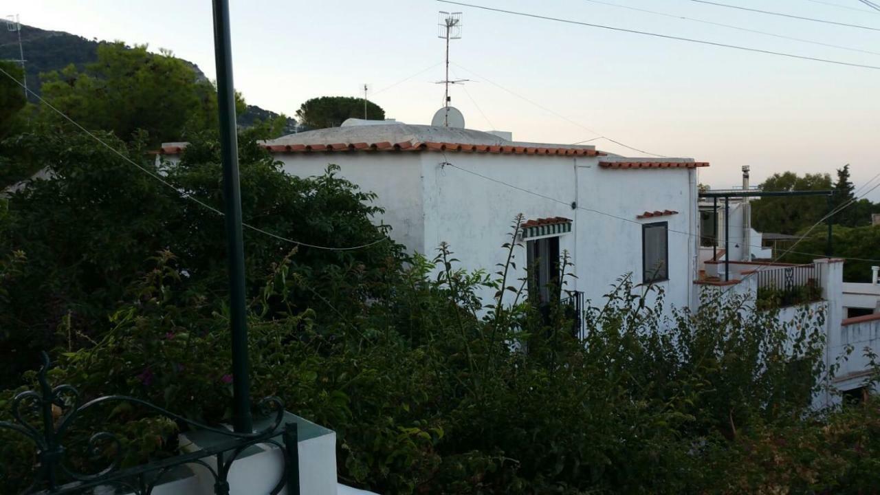 Il Gelso Apartamento Anacapri  Exterior foto