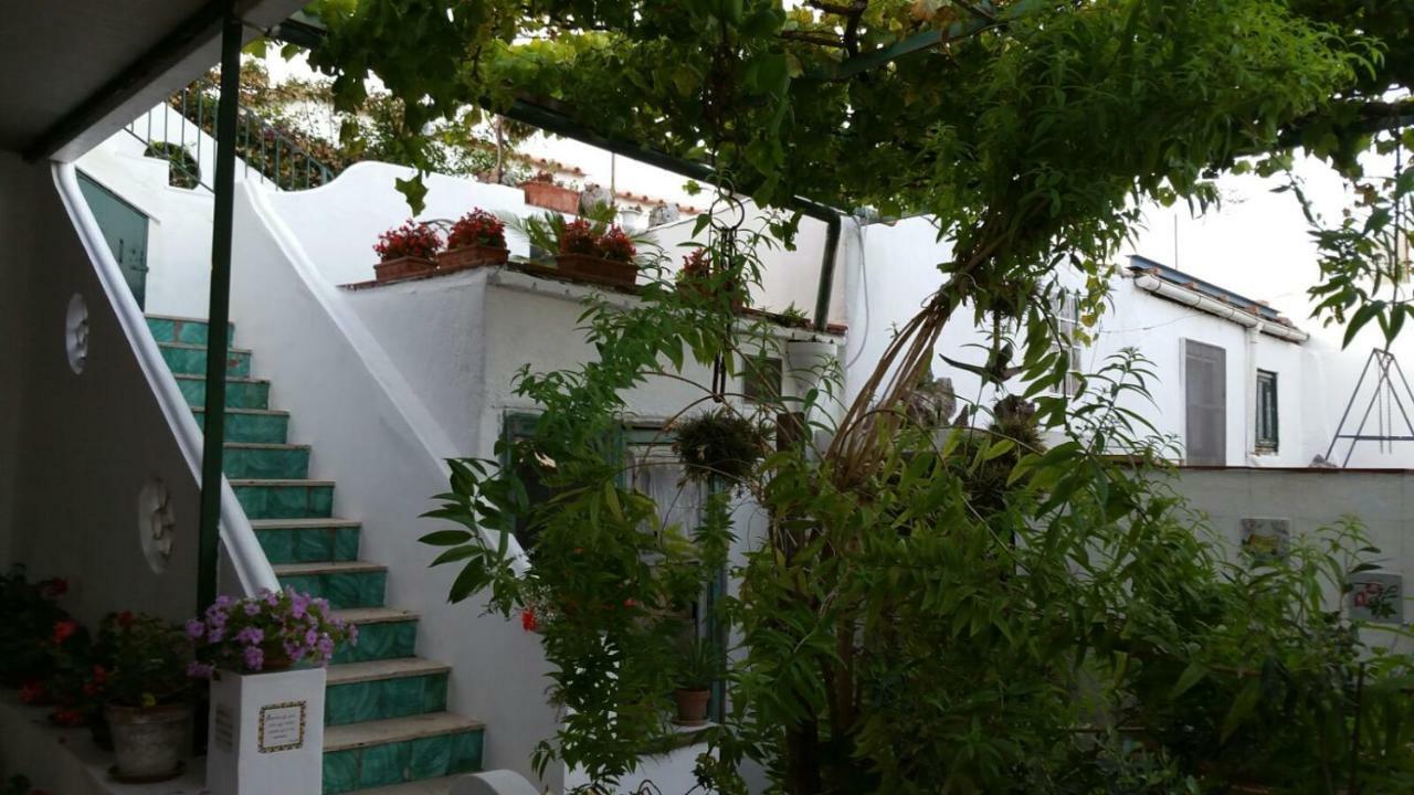 Il Gelso Apartamento Anacapri  Exterior foto