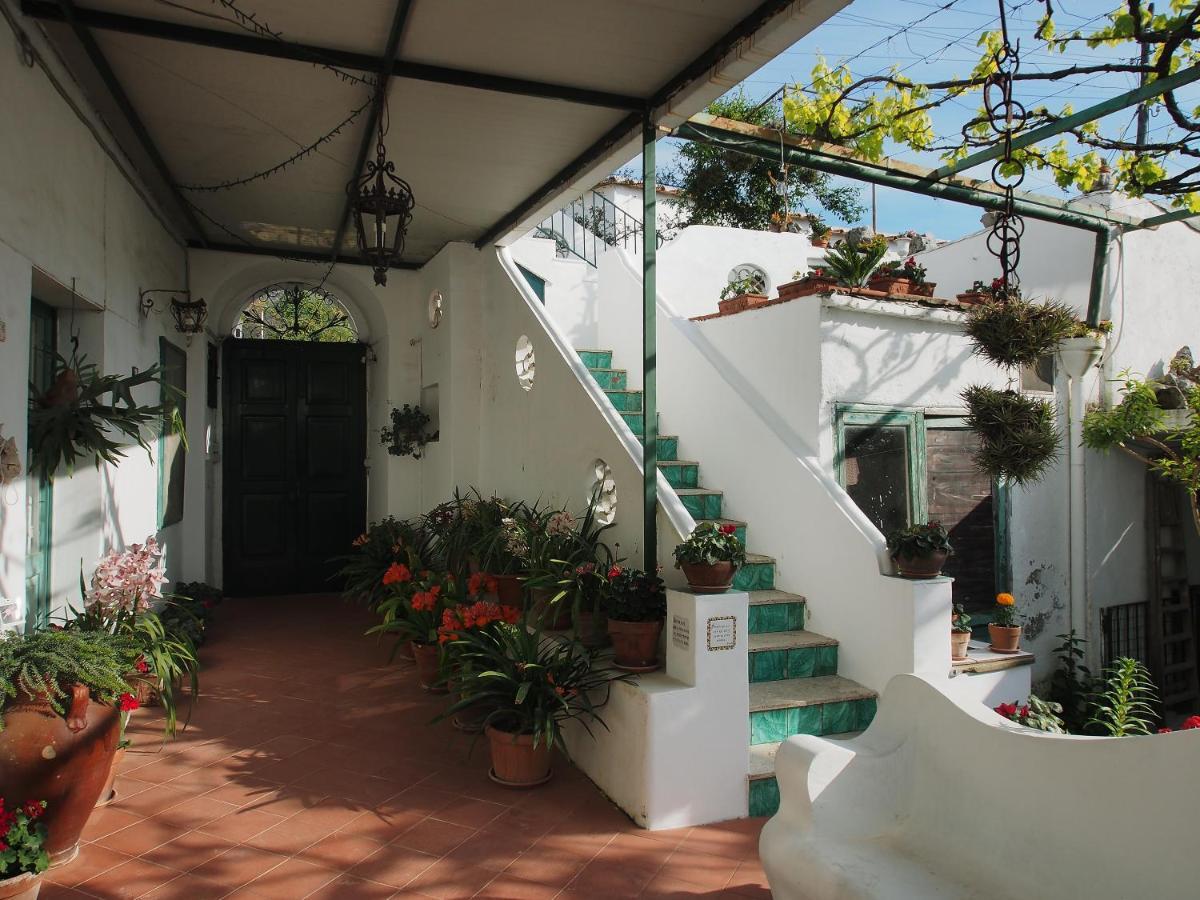 Il Gelso Apartamento Anacapri  Exterior foto